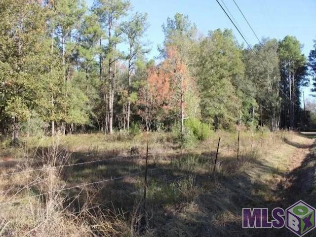 28545 Coker Vail Road North Holden, LA 70744 - Photo 4 of 13