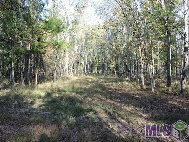 28545 Coker Vail Road North Holden, LA 70744 - Photo 5 of 13