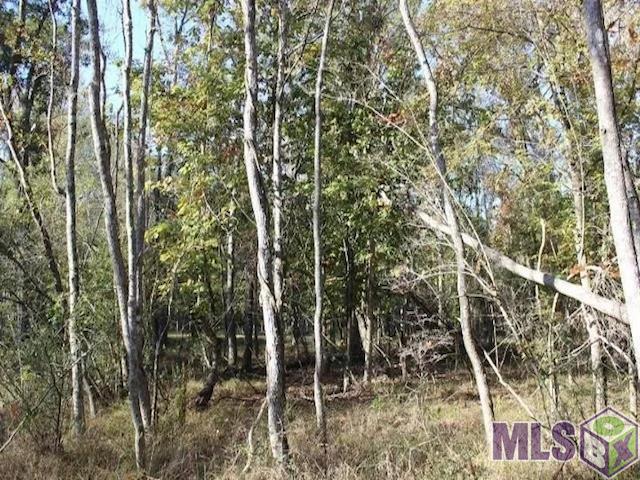 28545 Coker Vail Road North Holden, LA 70744 - Photo 6 of 13