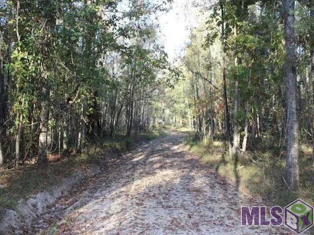 28545 Coker Vail Road North Holden, LA 70744 - Photo 7 of 13