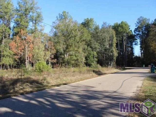 28545 Coker Vail Road North Holden, LA 70744 - Photo 8 of 13