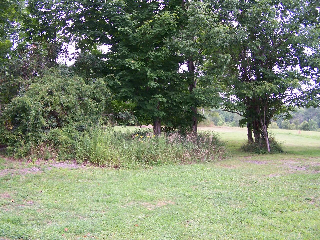 262 Demunds Road Dallas, PA 18612 - Photo 3 of 5 a view of backyard with green space