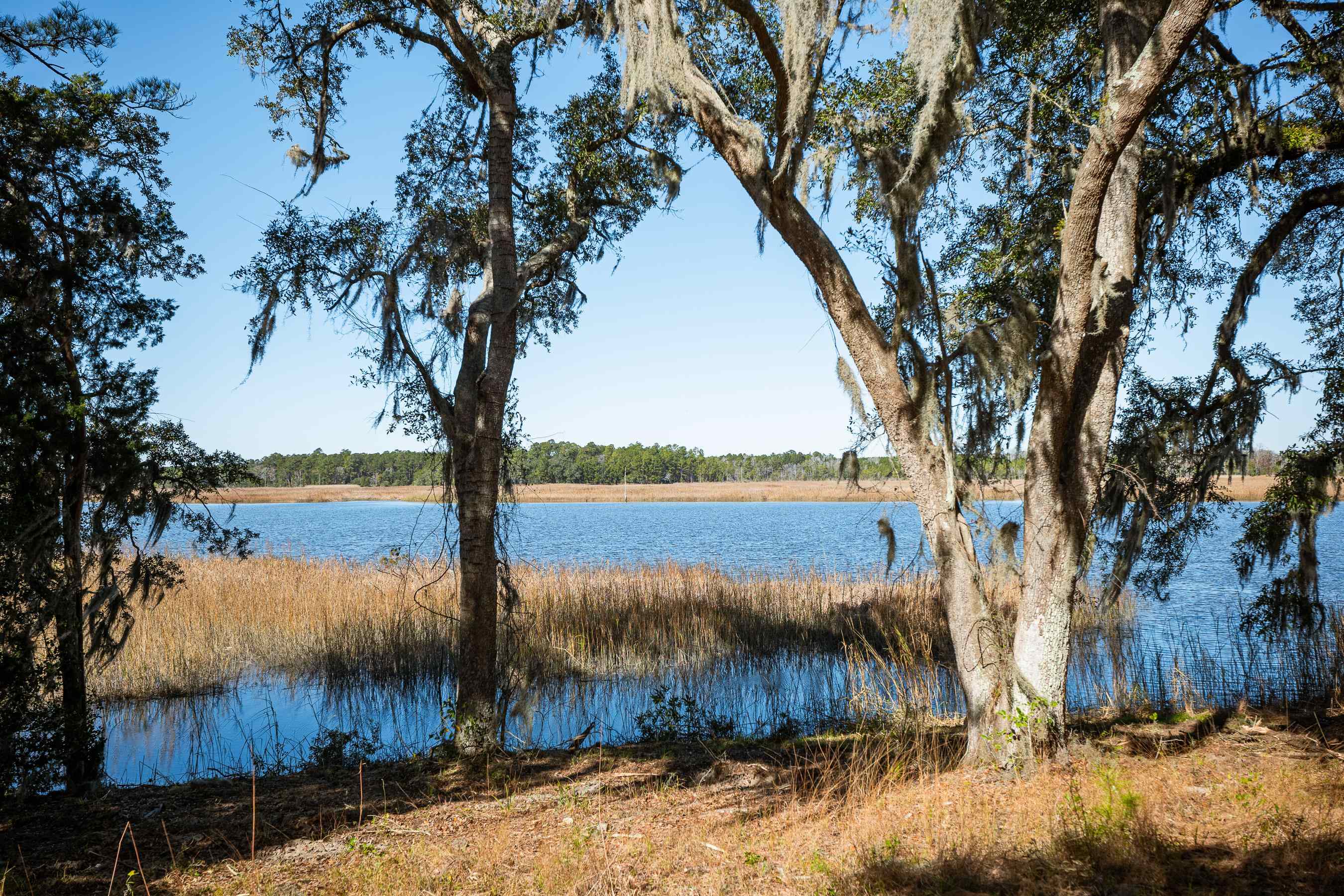 1939 Mauricena Road Georgetown, SC 29440 - Photo 6 of 16 Gallery Image 6
