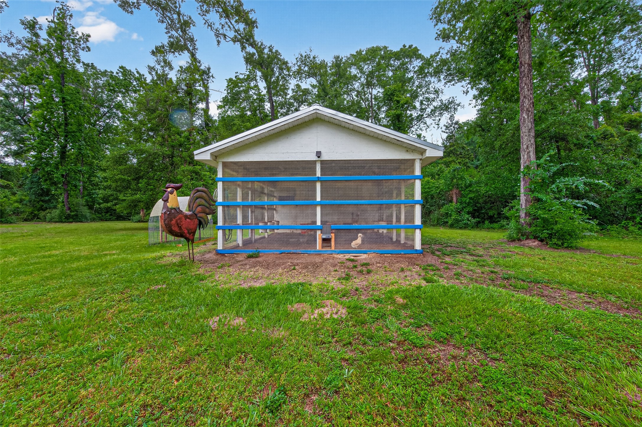2181 Stringtown Road Shepherd, TX 77371 - Photo 37 of 50