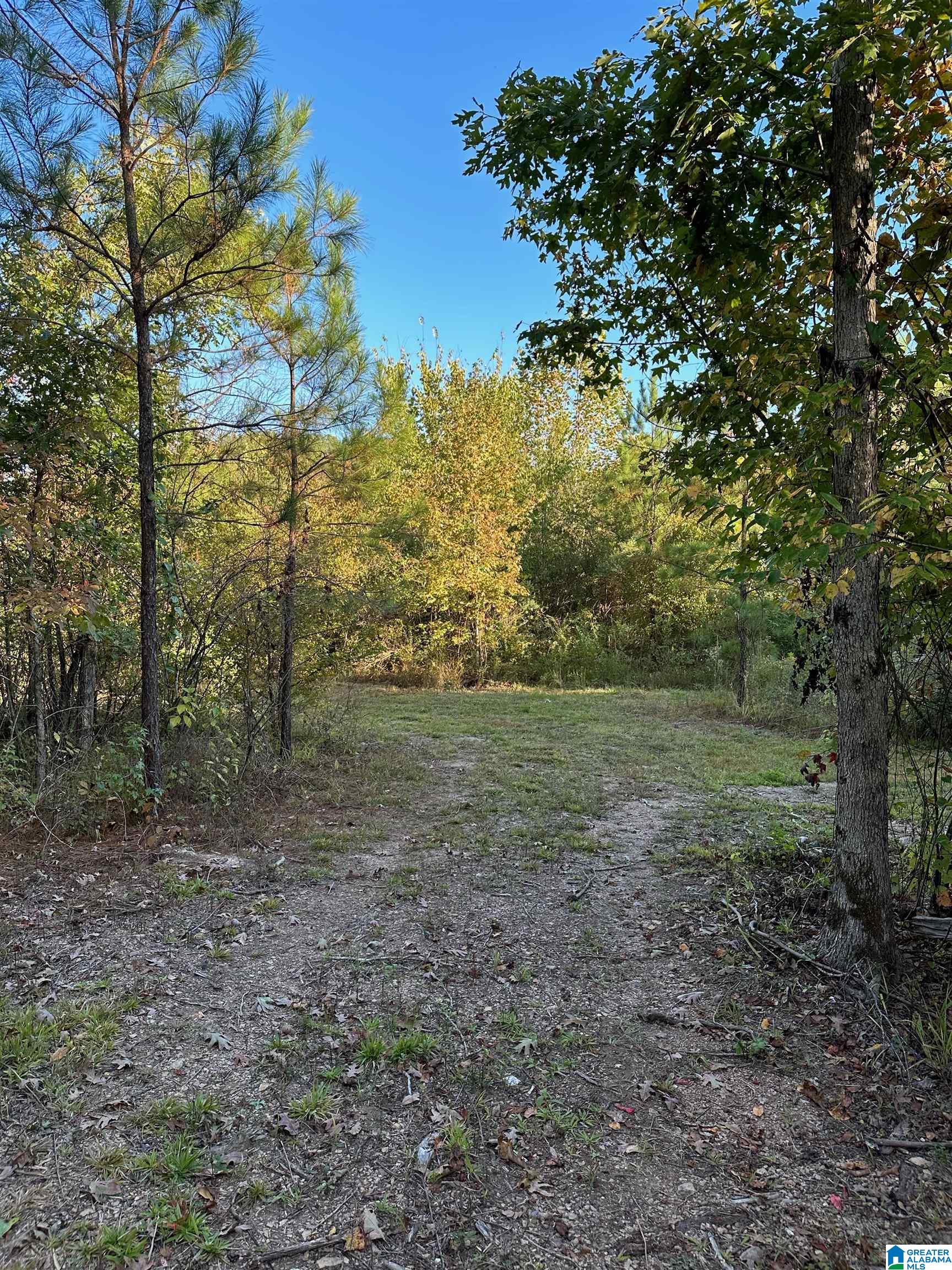 0 Reed Creek Drive Shelby, AL 35143 - Photo 14 of 15