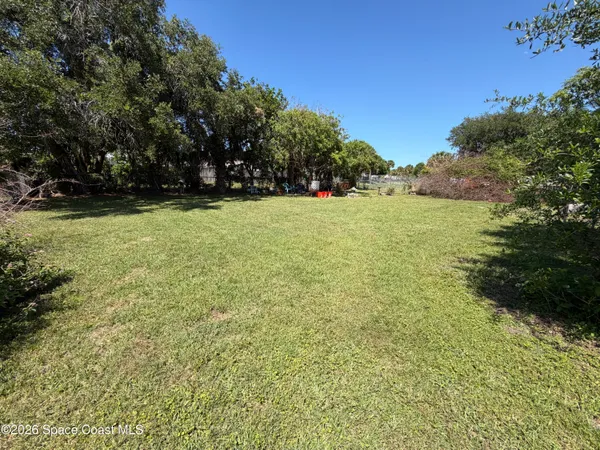 a view of a yard