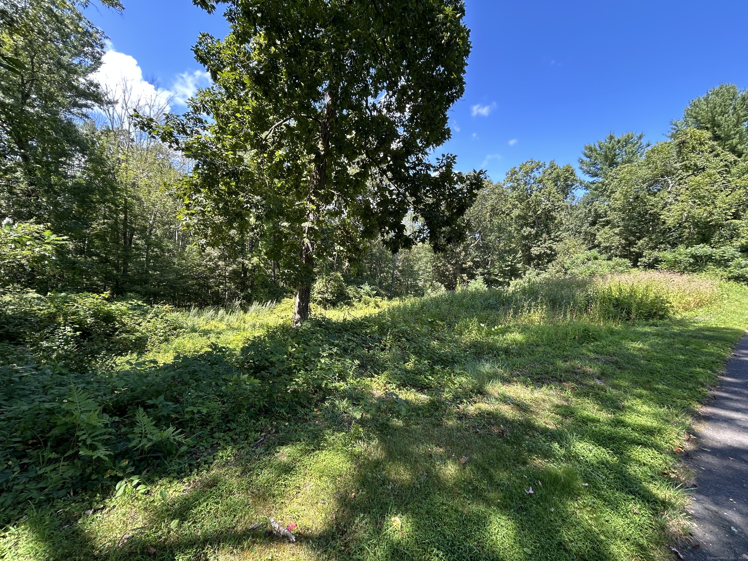 36 Olde Meadow Road Woodstock, CT 06281 - Photo 11 of 19 a view of a lush green space