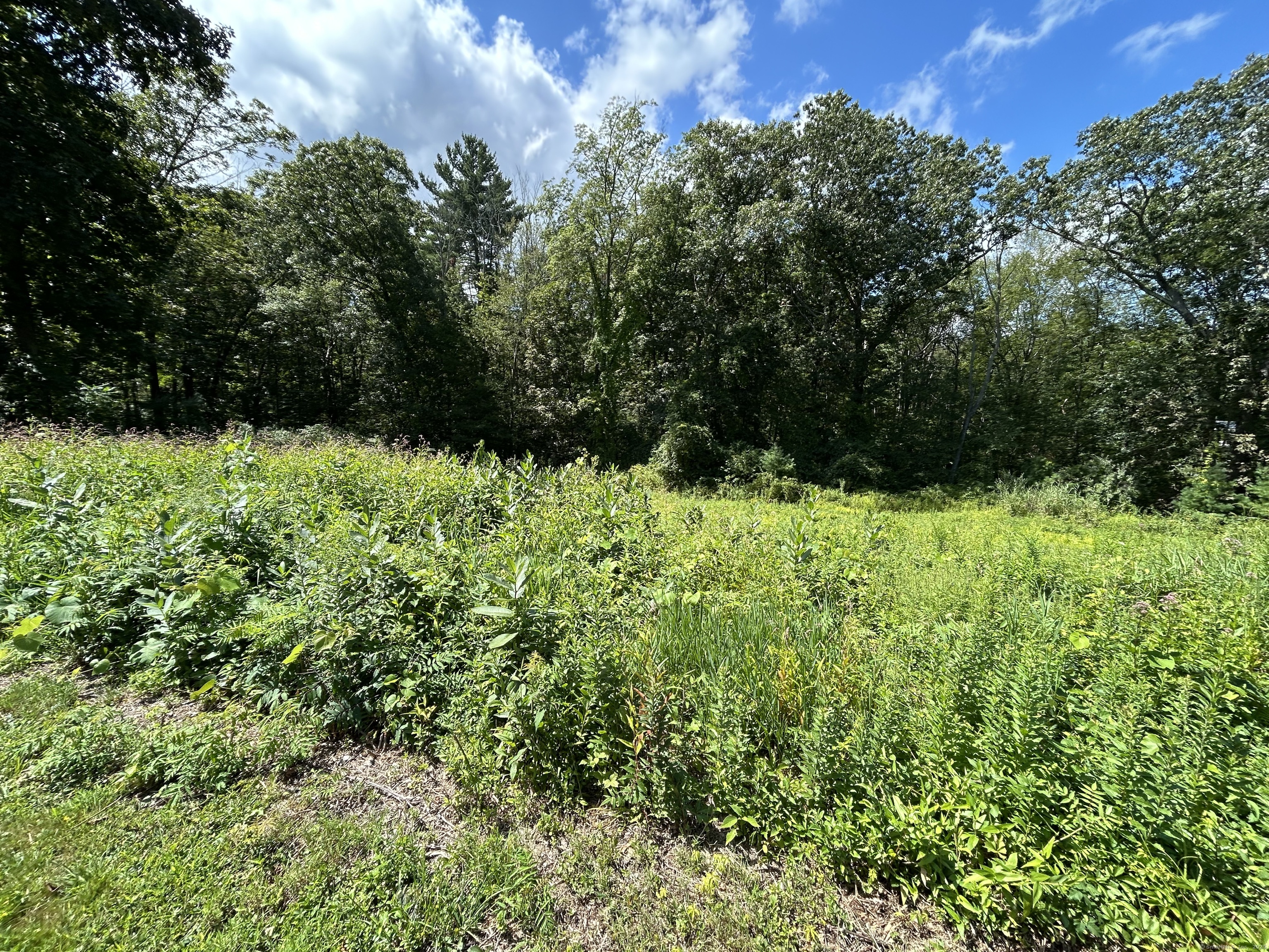 36 Olde Meadow Road Woodstock, CT 06281 - Photo 12 of 19 a view of a garden