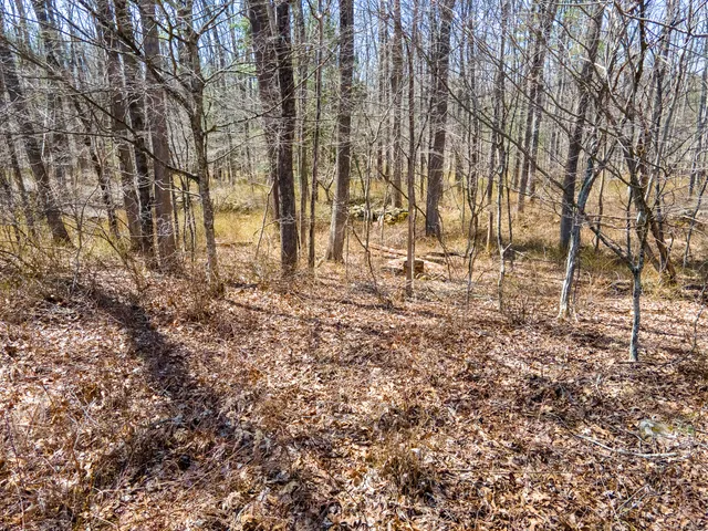 a view of a yard with a trees