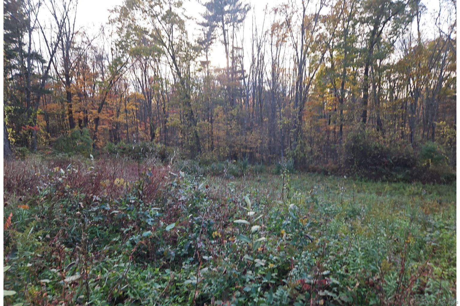 36 Olde Meadow Road Woodstock, CT 06281 - Photo 9 of 19 a view of a yard