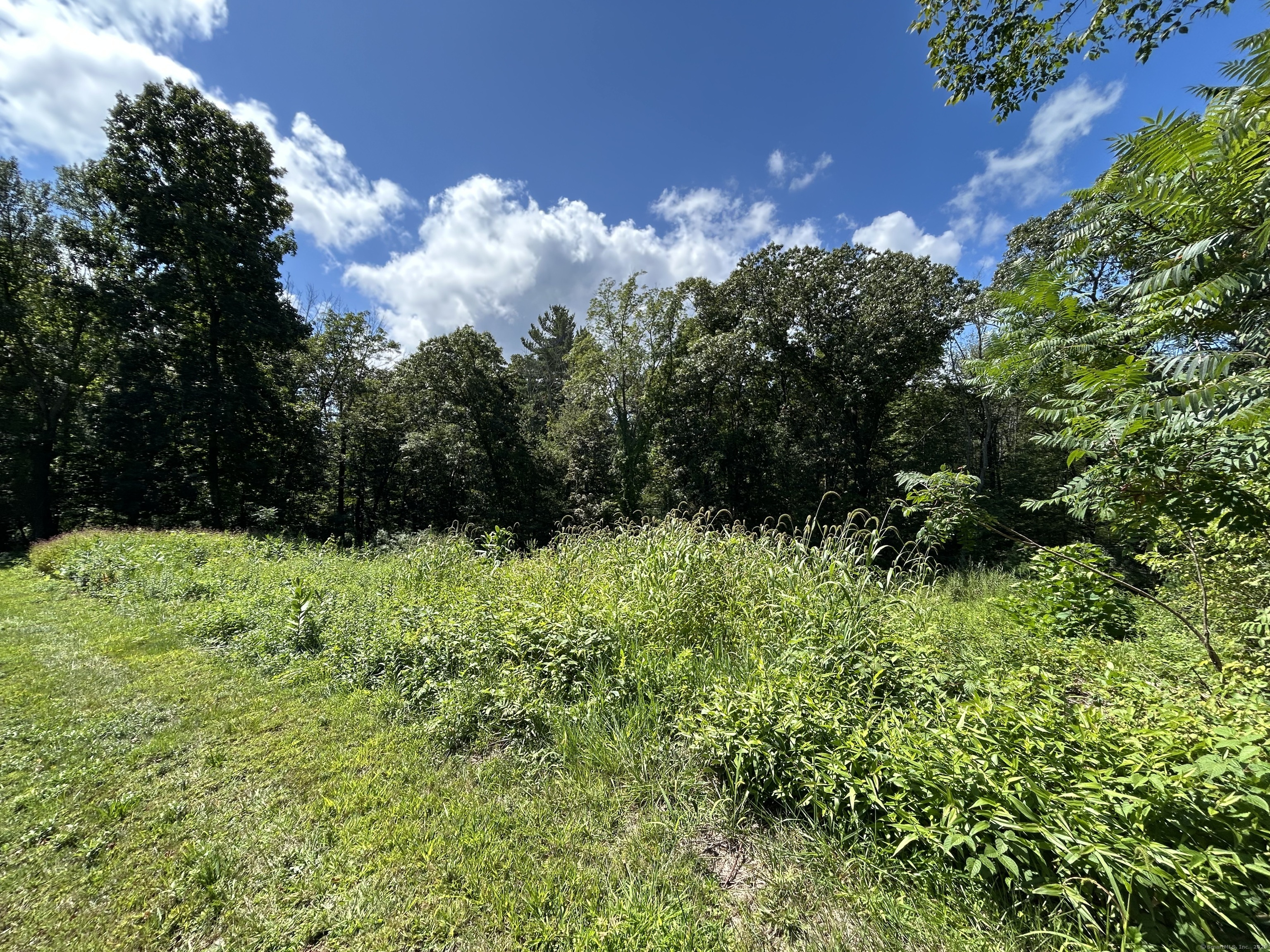 36 Olde Meadow Road Woodstock, CT 06281 - Photo 10 of 19 a view of a garden
