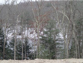 48 Northland Road Windham, NH 03087 - Photo 5 of 6