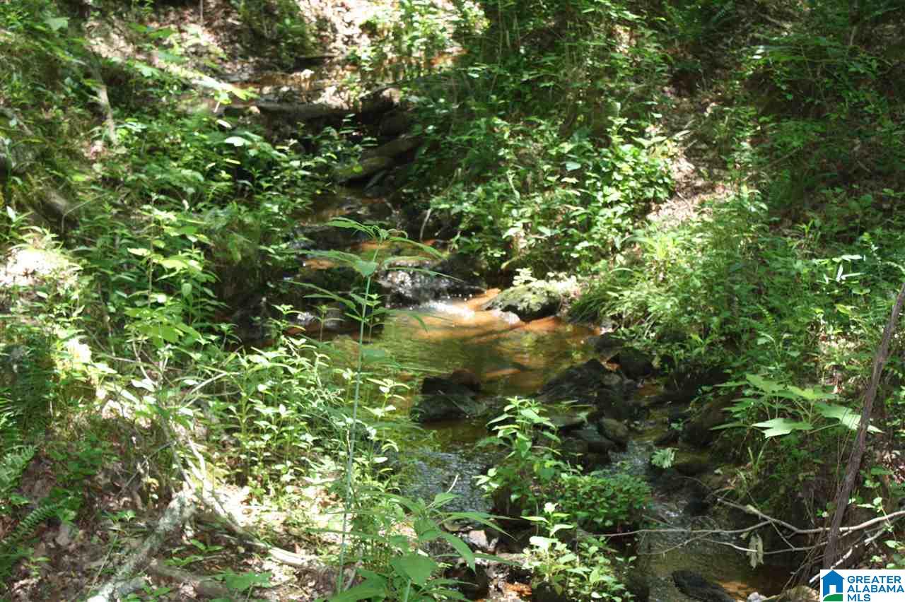 810 Weeks Drive, Unit 152 ACRES Delta, AL 36258 - Photo 10 of 24