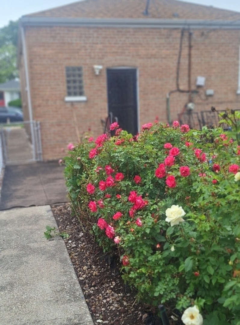 9351 South Normal Avenue Chicago, IL 60620 - Photo 13 of 14 a view of a flower garden with a small yard