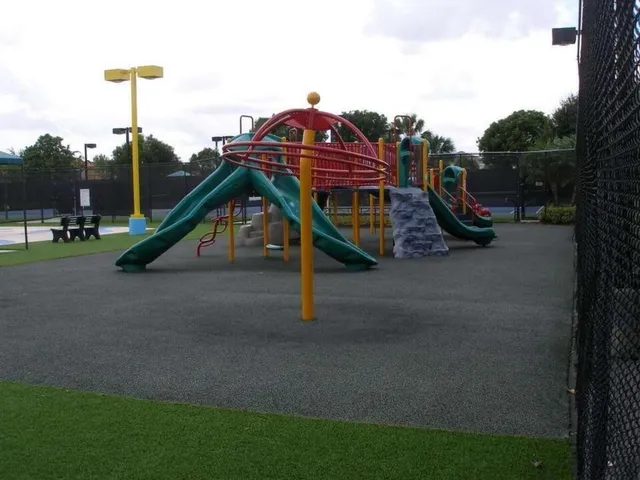 a view of a park with slide