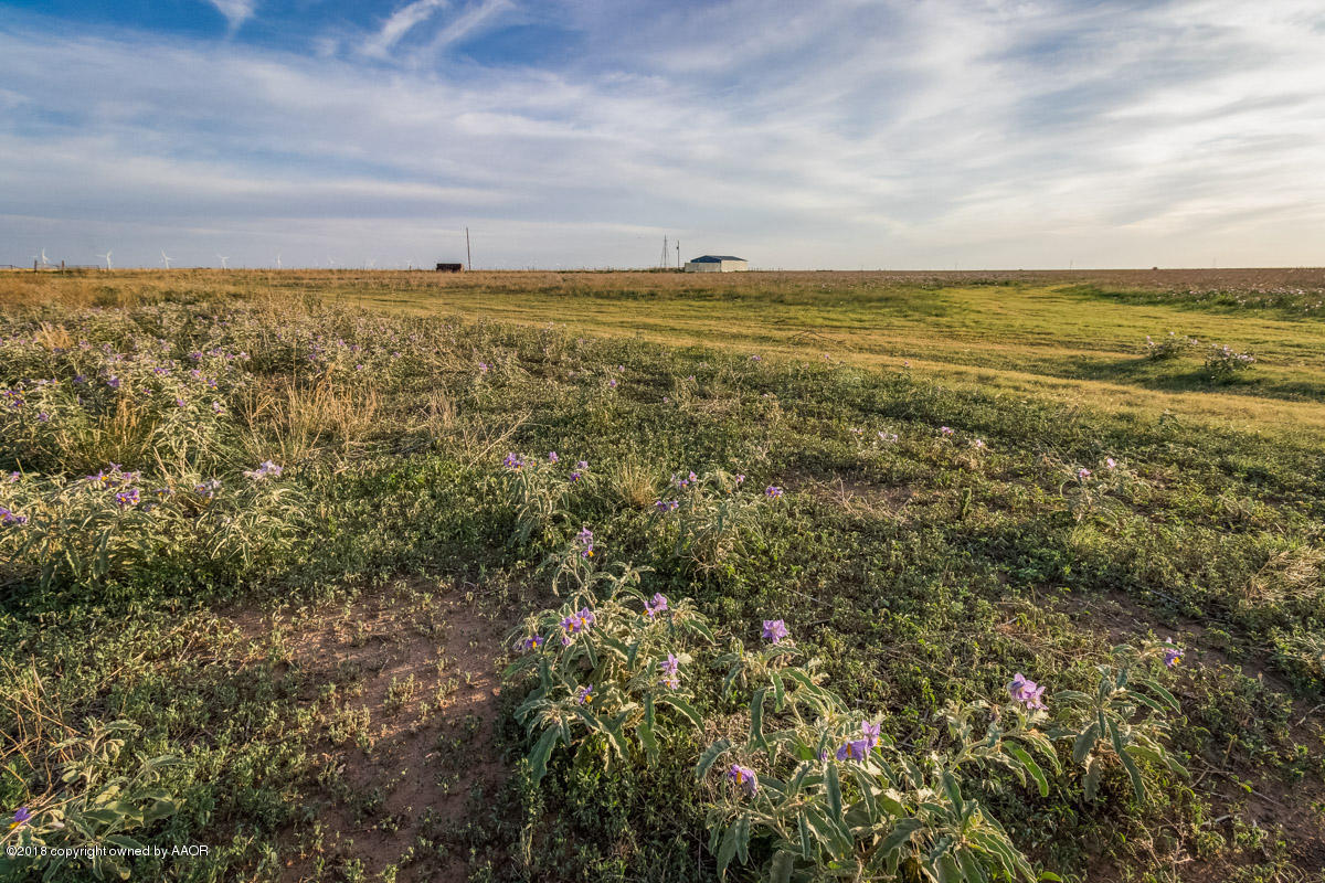 1705 Ranch Happy Tx 79042 Happy, TX 79042 - Photo 21 of 28 1705_Ranch-2