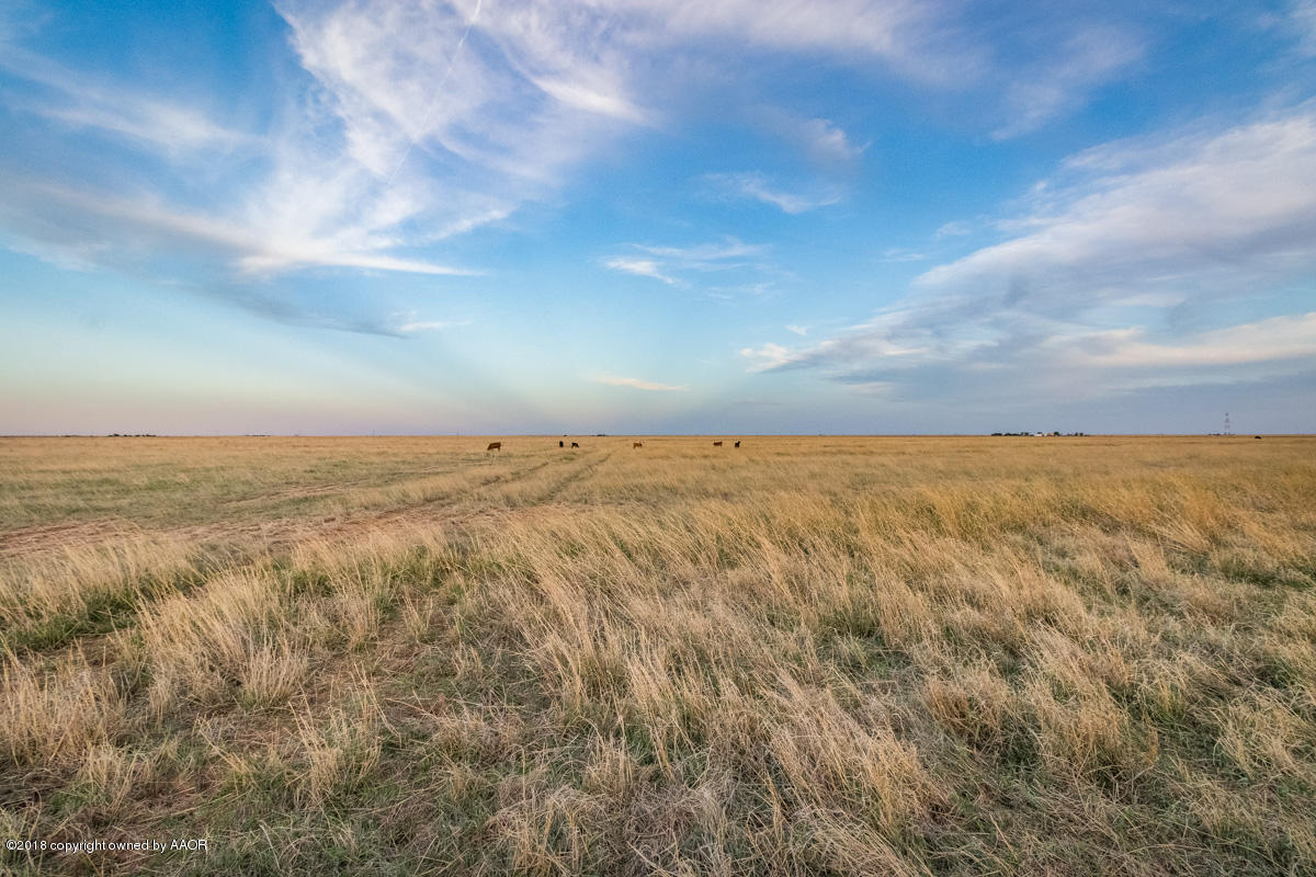 1705 Ranch Happy Tx 79042 Happy, TX 79042 - Photo 8 of 28 1705_Ranch-19