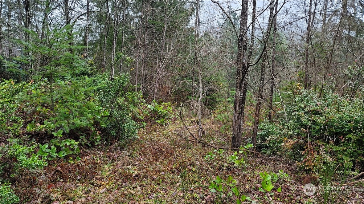 281 East Rd Of Tralee Shelton, WA 98584 - Photo 5 of 32