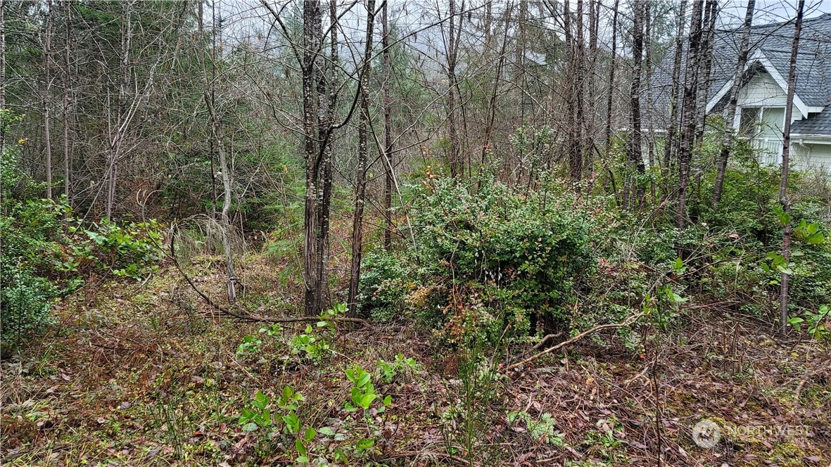 281 East Rd Of Tralee Shelton, WA 98584 - Photo 6 of 32