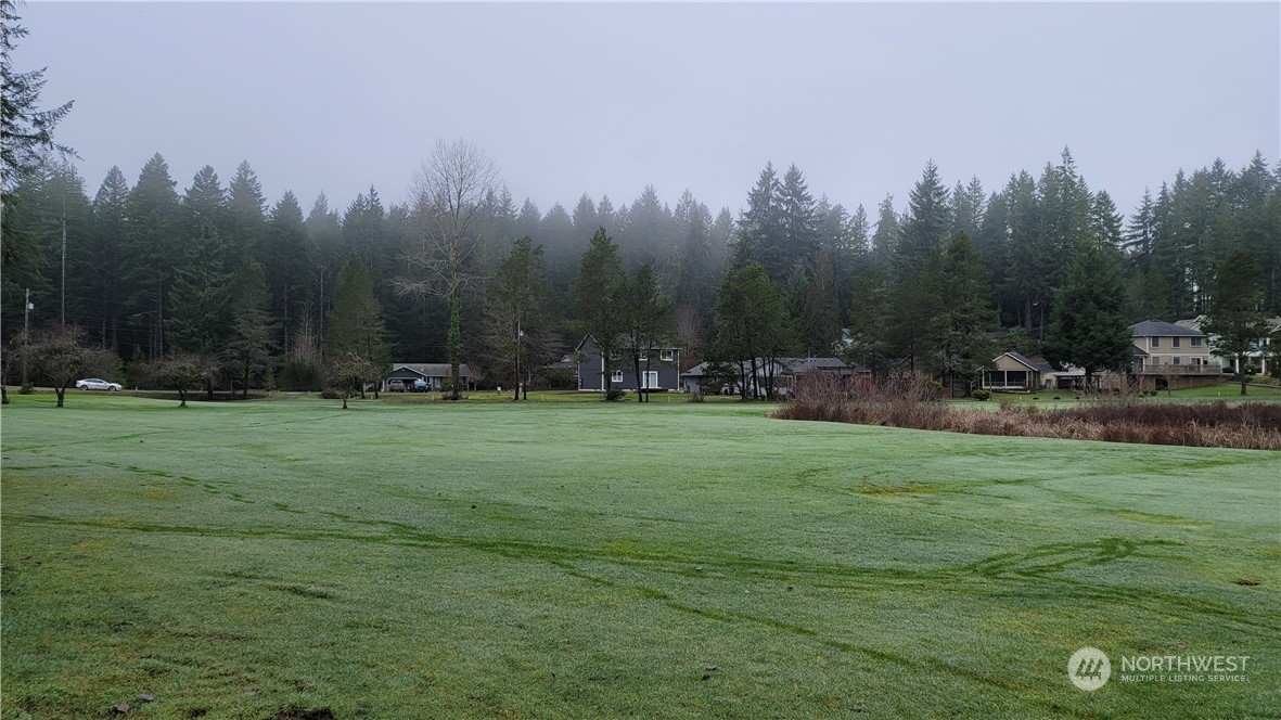 281 East Rd Of Tralee Shelton, WA 98584 - Photo 8 of 32