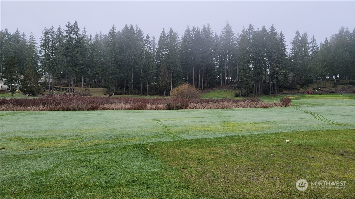 281 East Rd Of Tralee Shelton, WA 98584 - Photo 9 of 32