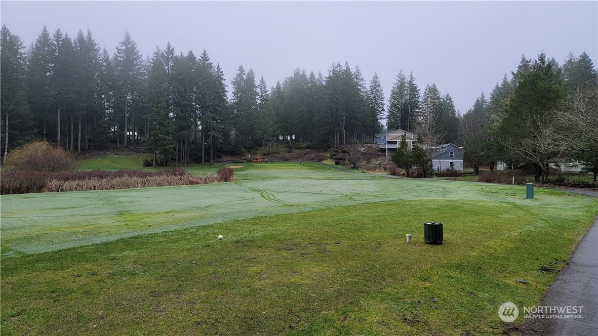 281 East Rd Of Tralee Shelton, WA 98584 - Photo 10 of 32