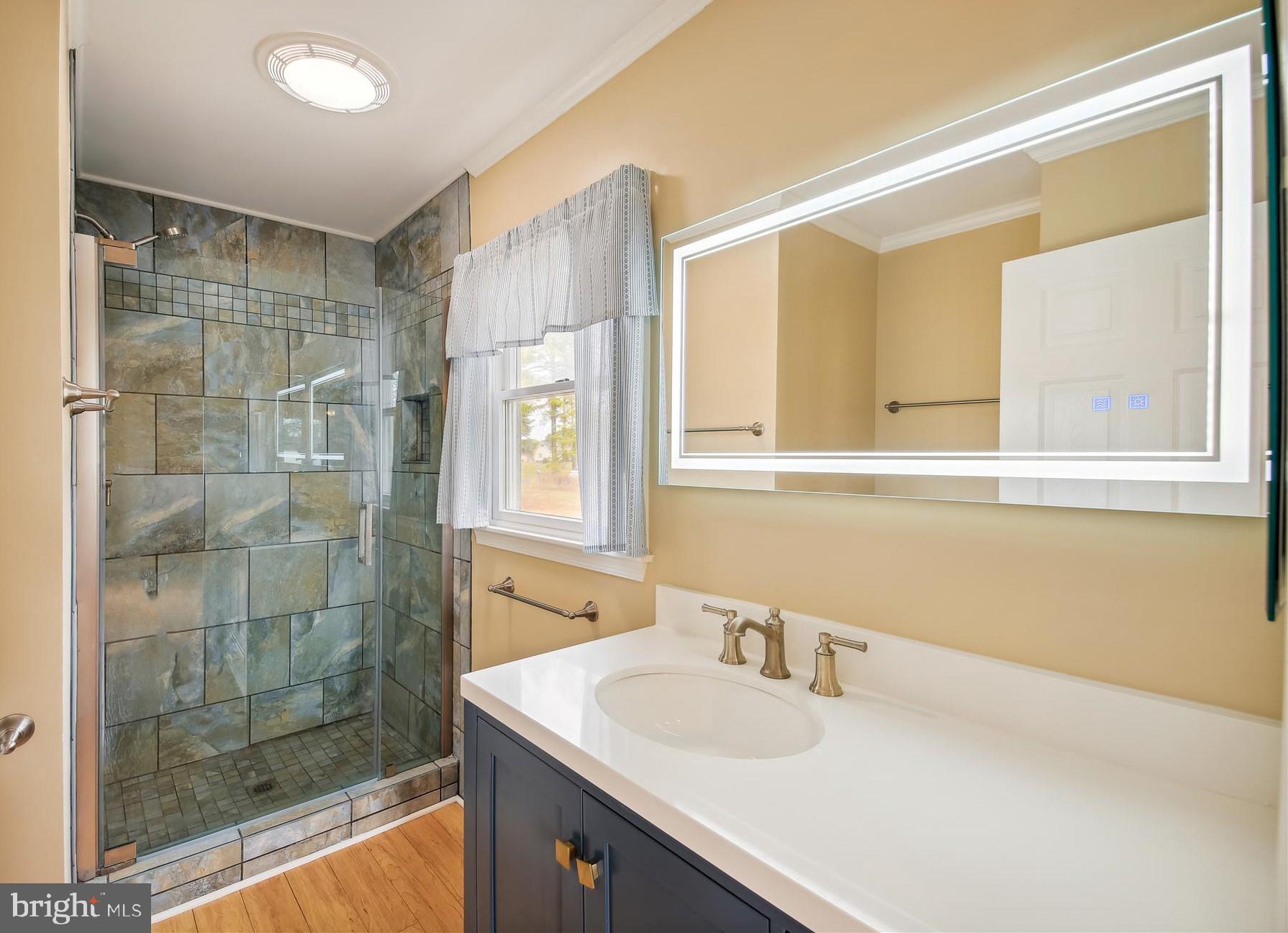 5209 Frances Road Marion Station, MD 21838 - Photo 20 of 40 Primary bathroom
