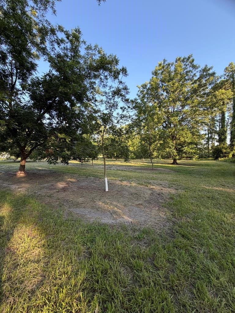 6203 Garner Road Nashville, GA 31639 - Photo 39 of 44 Gallery Image 39