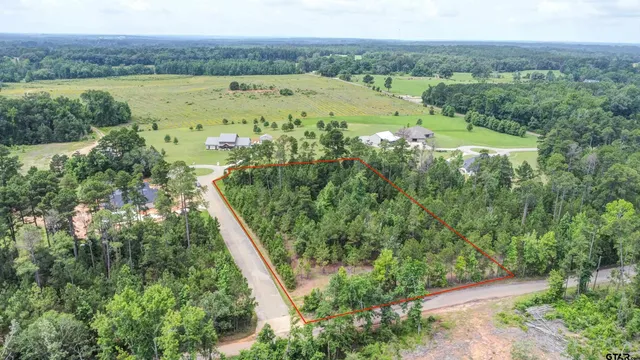 $59,000 | Lot 4-blk Loblolly Lane, Henderson, TX 75654