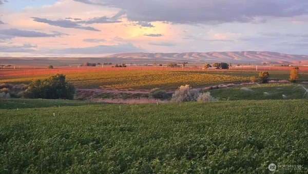 a view of a field with an ocean and mountain view