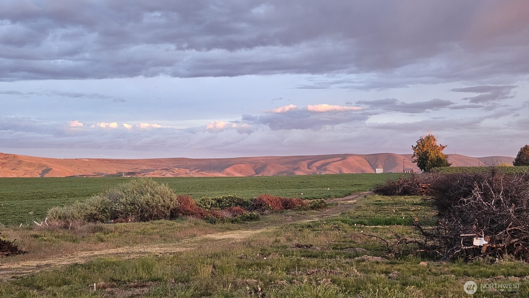 125498 West McCreadie Road Prosser, WA 99350 - Photo 11 of 11 a view of a town with big trees