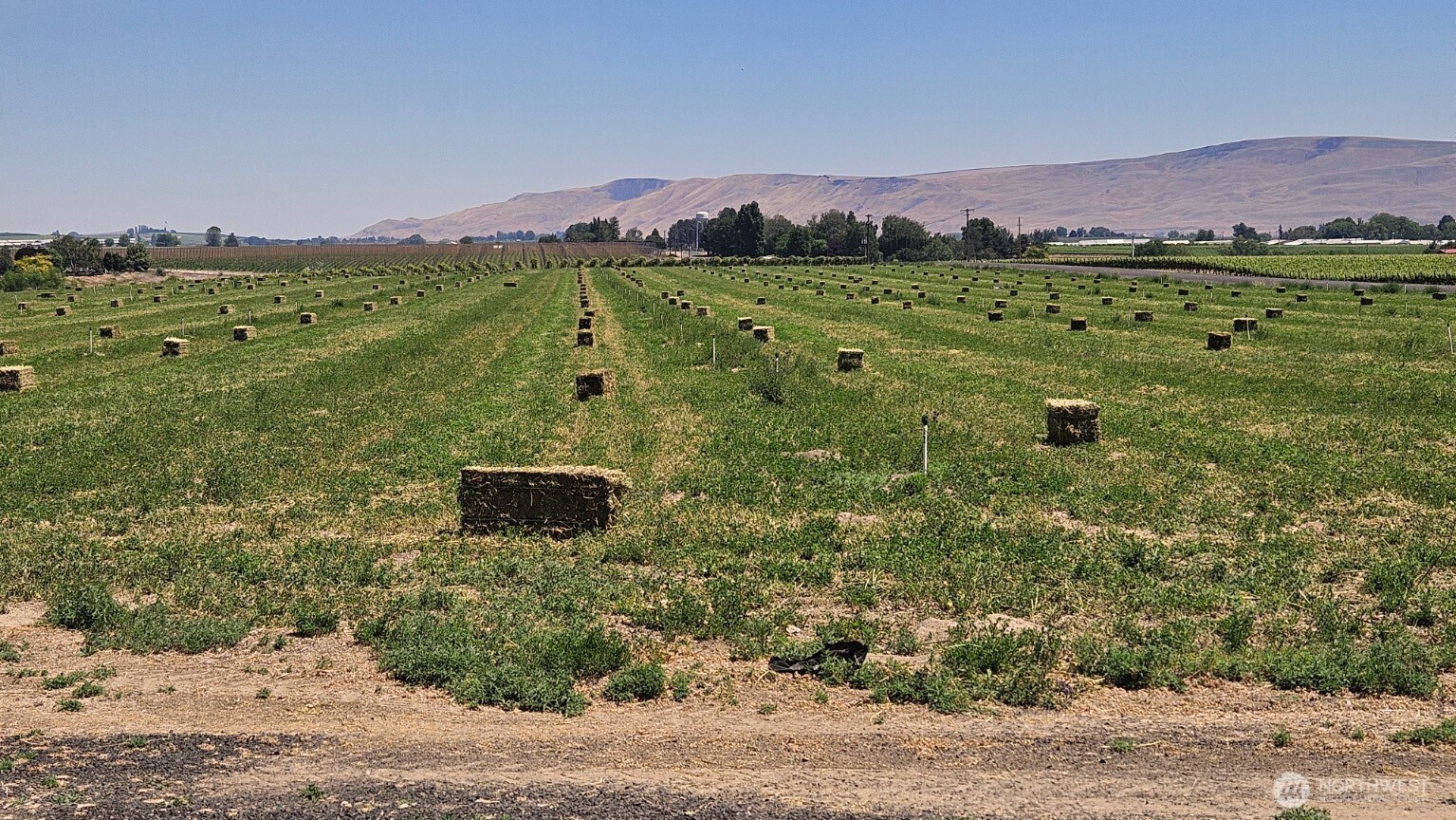 125498 West McCreadie Road Prosser, WA 99350 - Photo 2 of 11 a view of a lush green hillside and houses