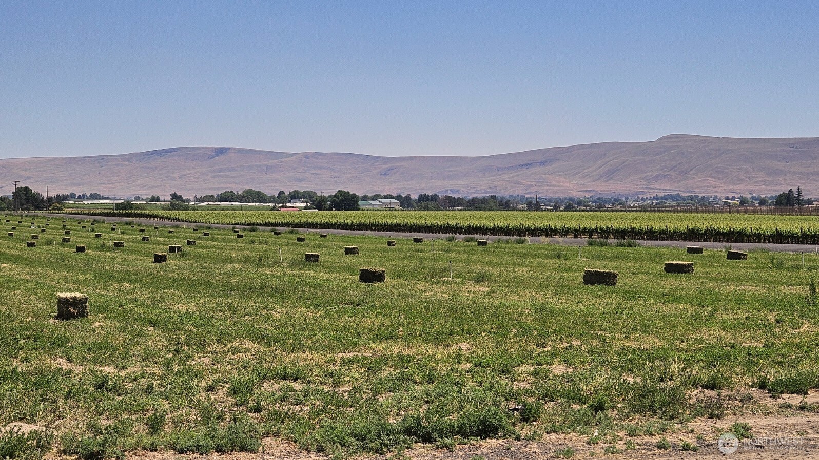 125498 West McCreadie Road Prosser, WA 99350 - Photo 3 of 11 a view of a lush green hillside and houses