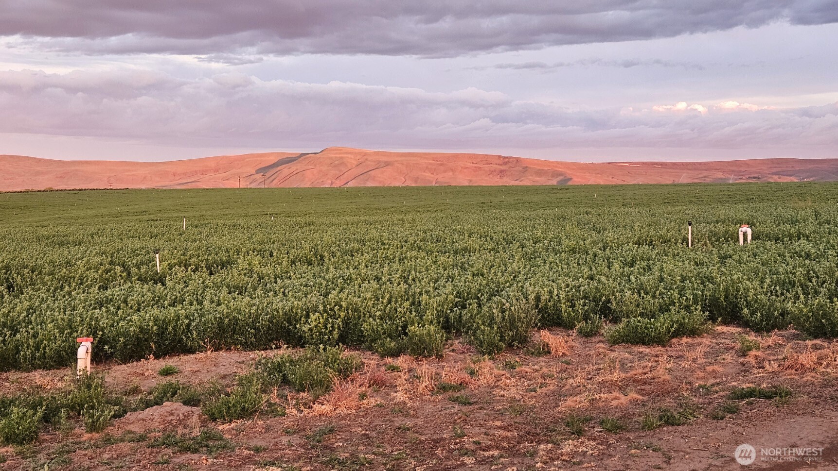 125498 West McCreadie Road Prosser, WA 99350 - Photo 4 of 11 a view of a city with lush green forest