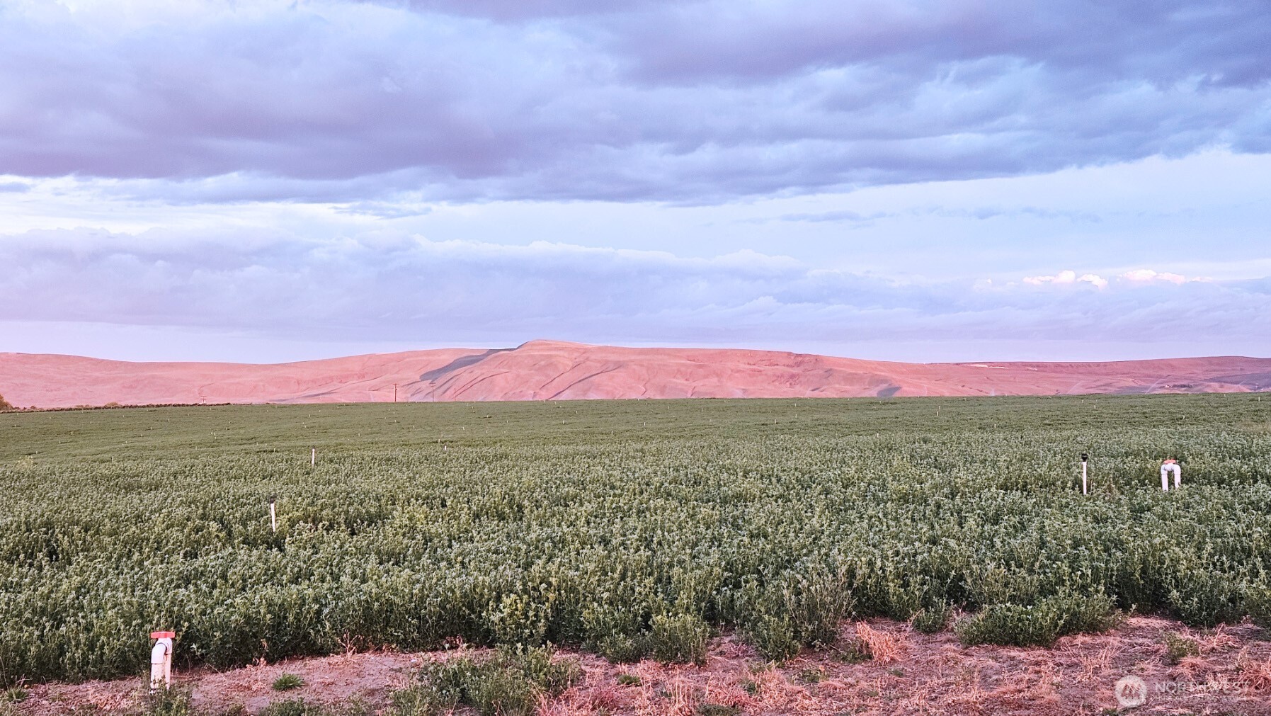 125498 West McCreadie Road Prosser, WA 99350 - Photo 5 of 11 a view of a city with lots of houses