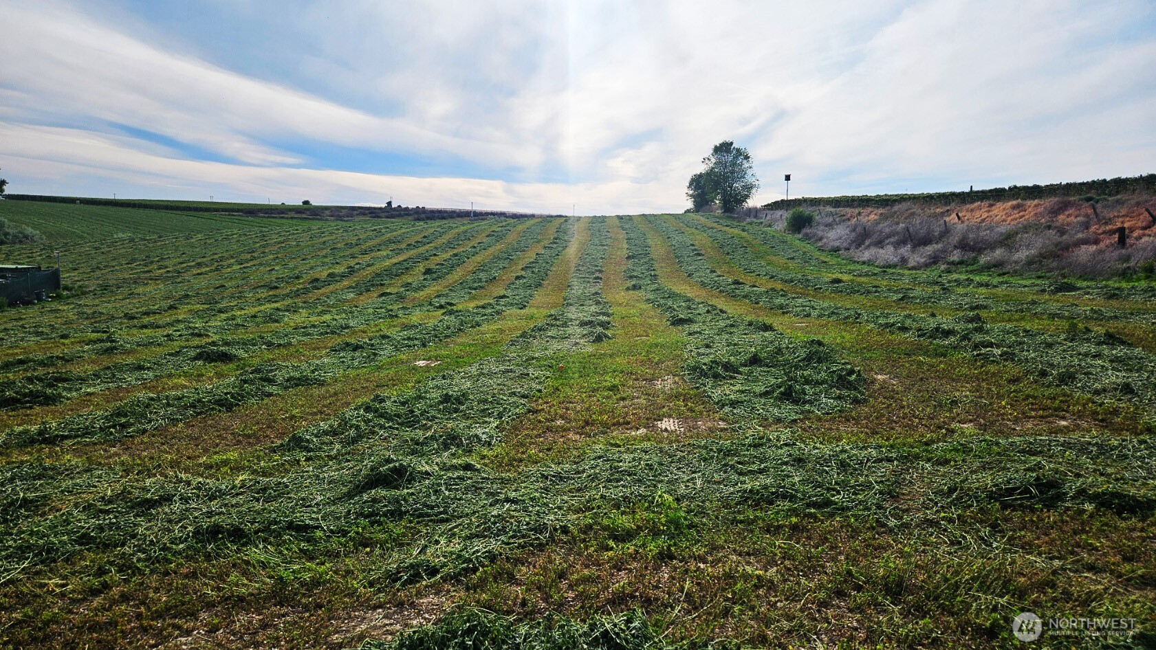 125498 West McCreadie Road Prosser, WA 99350 - Photo 6 of 11