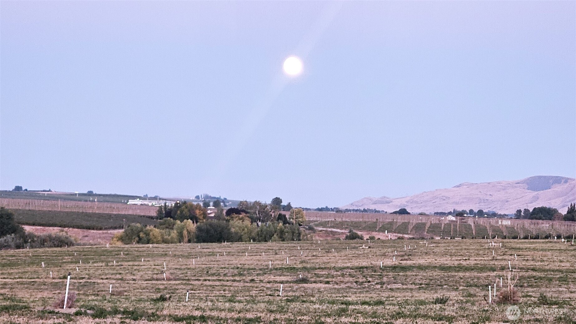 125498 West McCreadie Road Prosser, WA 99350 - Photo 7 of 11 a view of a town with mountains in the background