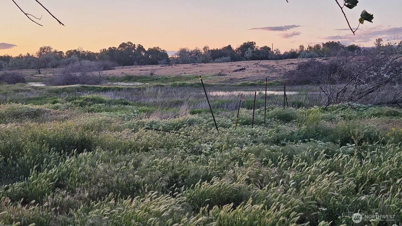 125498 West McCreadie Road Prosser, WA 99350 - Photo 9 of 11 a view of a lush green hillside and a building