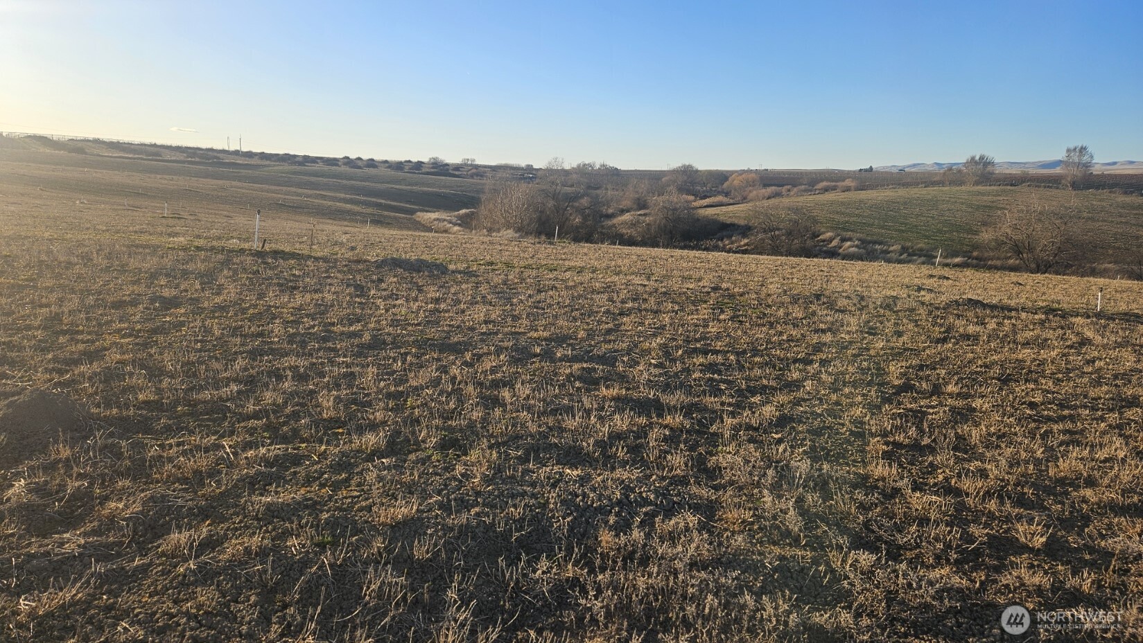 125498 West McCreadie Road Prosser, WA 99350 - Photo 10 of 11 a view of lake and mountain