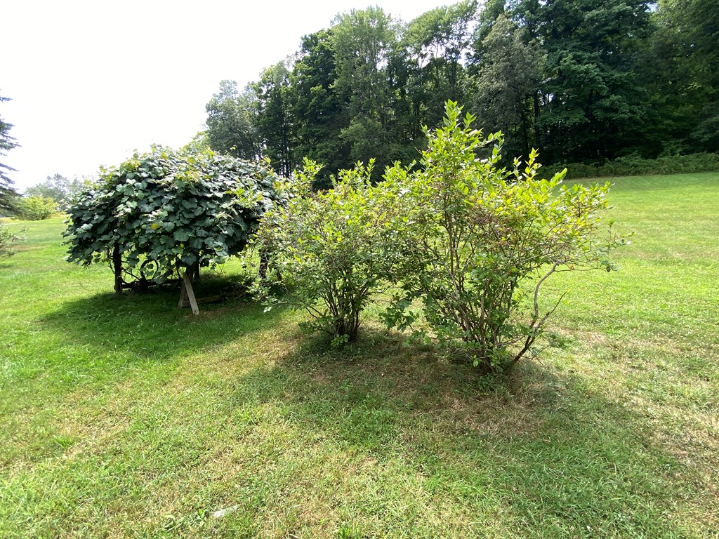 1495 Ridgeview Road Titusville, PA 16354 - Photo 59 of 62