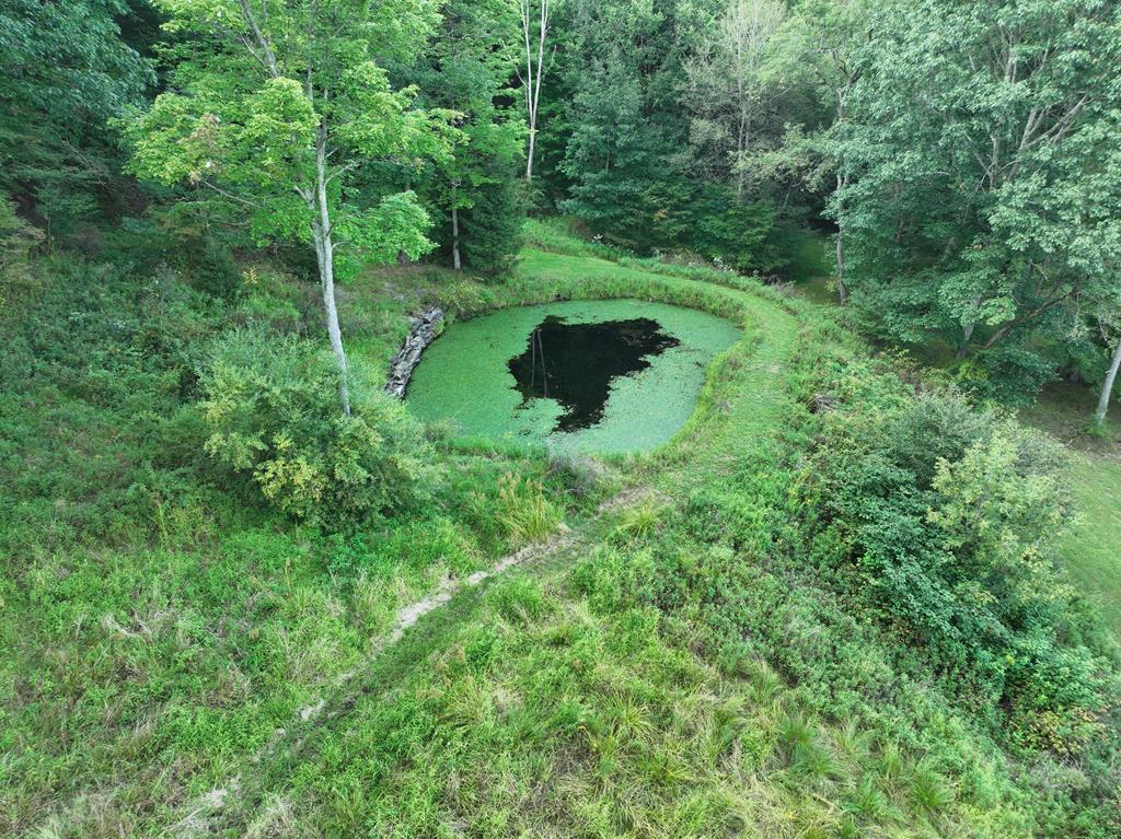 1495 Ridgeview Road Titusville, PA 16354 - Photo 8 of 62