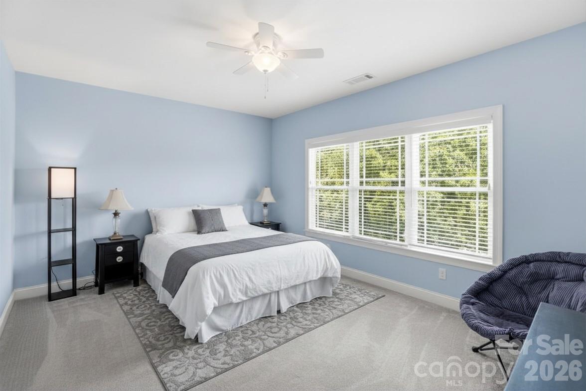 328 Calming Way Tega Cay, SC 29708 - Photo 30 of 48