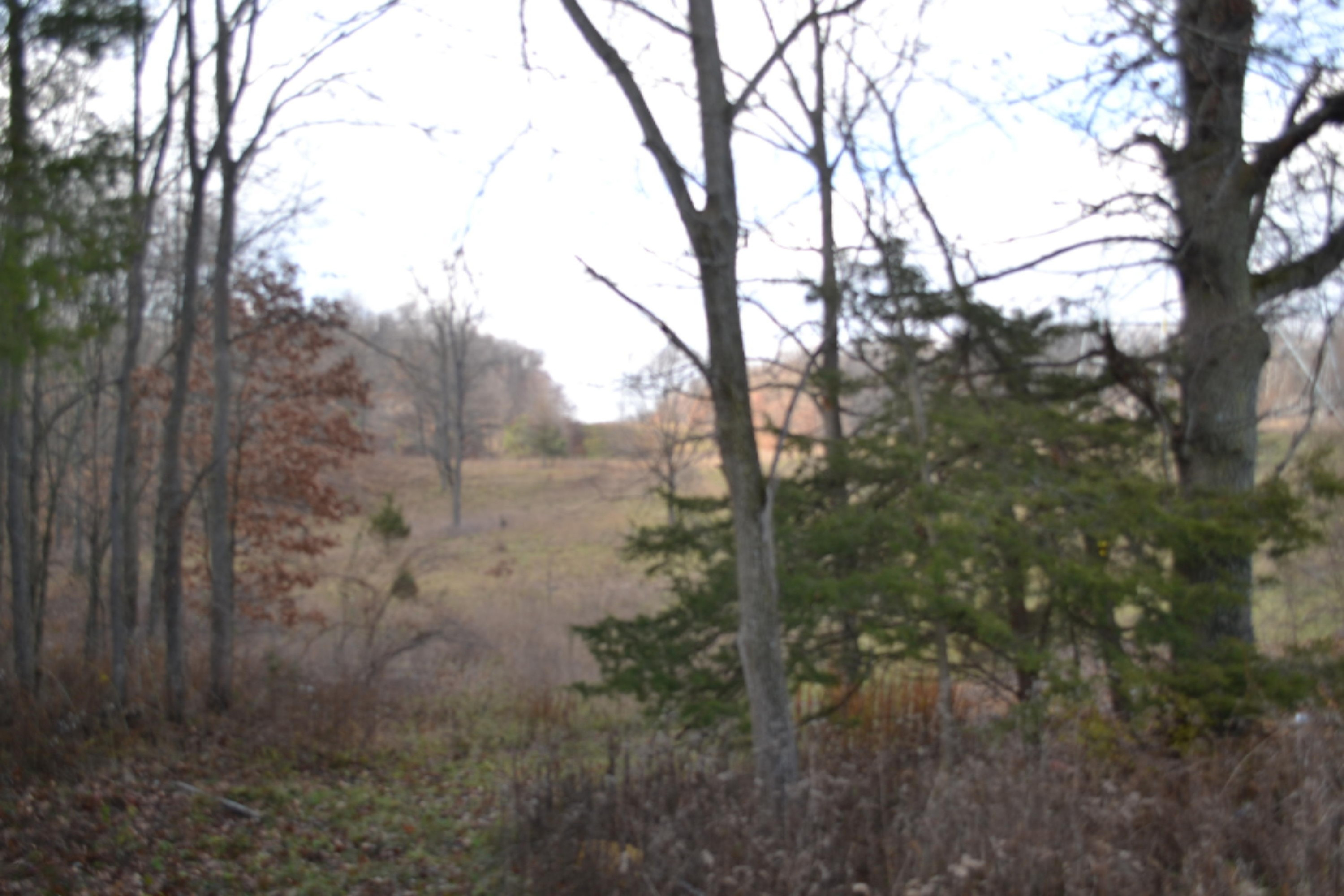 South Ionia Road Bellevue, MI 49021 - Photo 11 of 14 DSC_0472