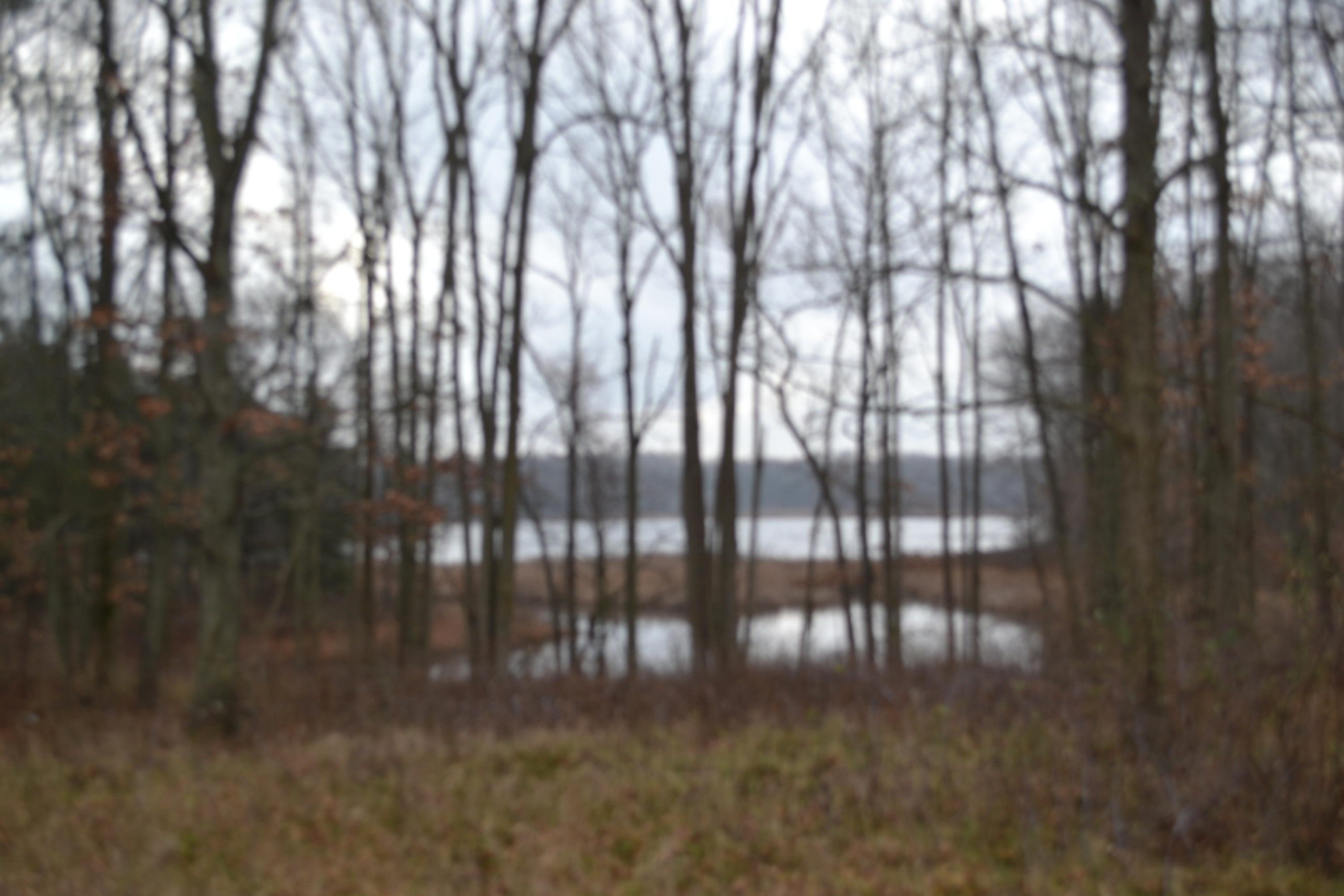 South Ionia Road Bellevue, MI 49021 - Photo 4 of 14 DSC_0450