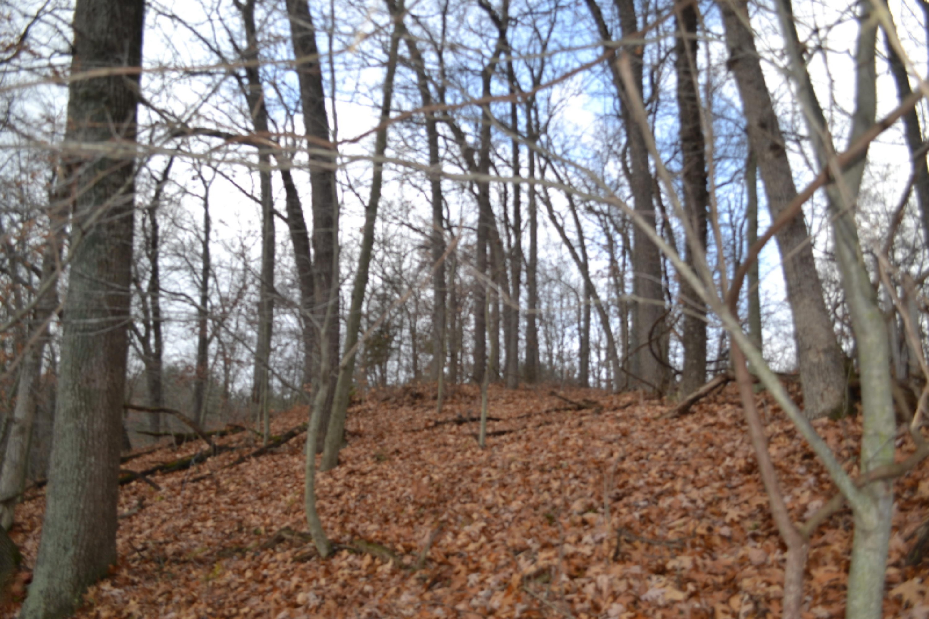 South Ionia Road Bellevue, MI 49021 - Photo 6 of 14 DSC_0458