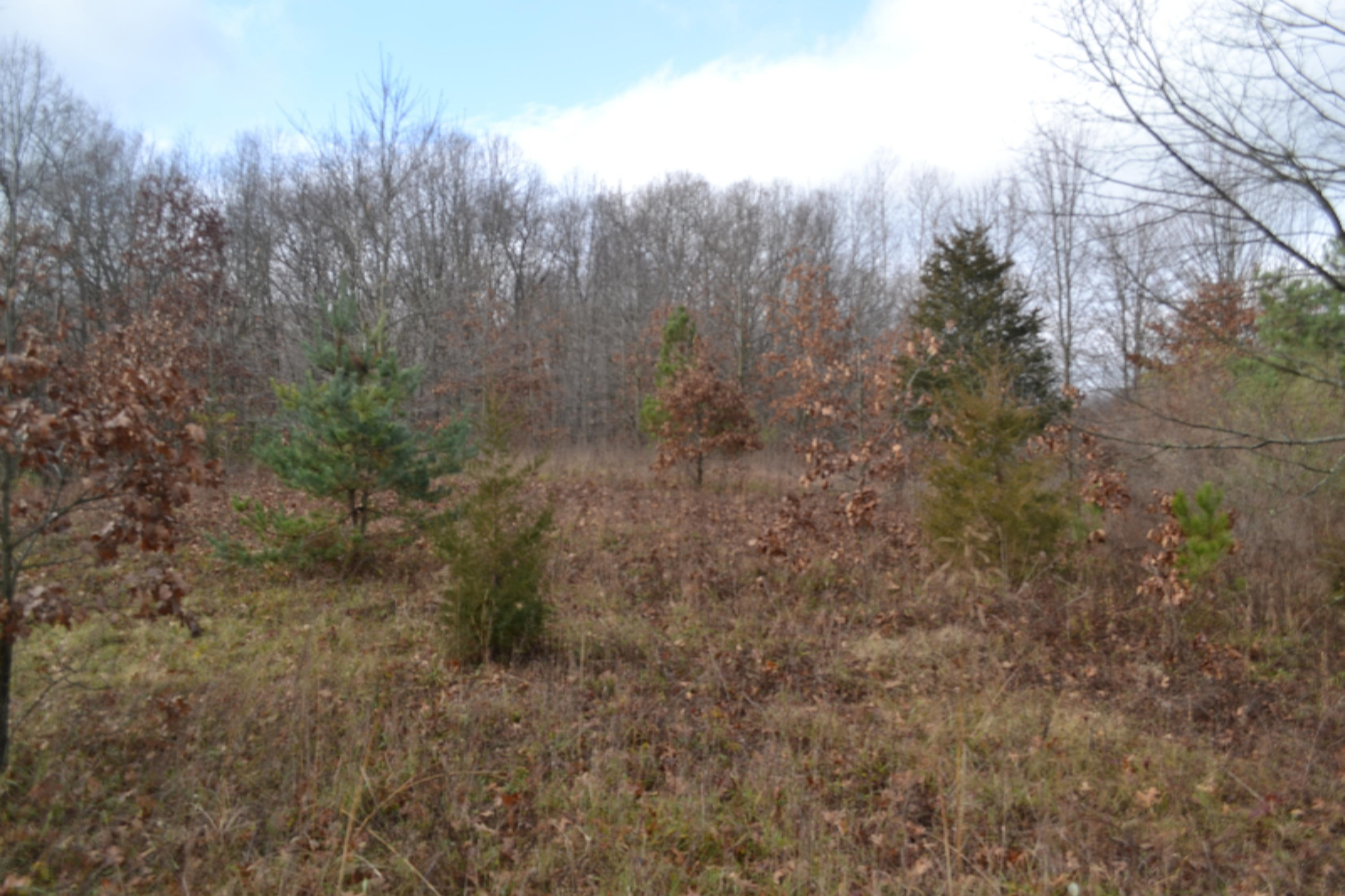 South Ionia Road Bellevue, MI 49021 - Photo 7 of 14 DSC_0467