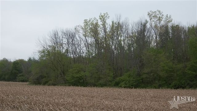 8307 West Washington Center Road Fort Wayne, IN 46818 - Photo 2 of 7 Gallery Image 2