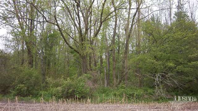 8307 West Washington Center Road Fort Wayne, IN 46818 - Photo 3 of 7 Gallery Image 3