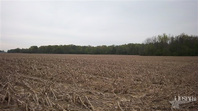 8307 West Washington Center Road Fort Wayne, IN 46818 - Photo 4 of 7 Gallery Image 4