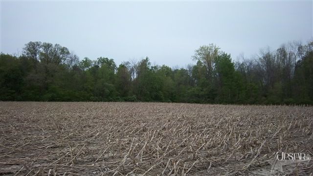 8307 West Washington Center Road Fort Wayne, IN 46818 - Photo 5 of 7 Gallery Image 5